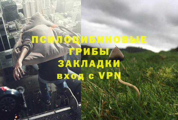 спиды Осташков