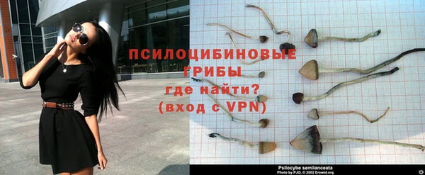 прущая мука Няндома